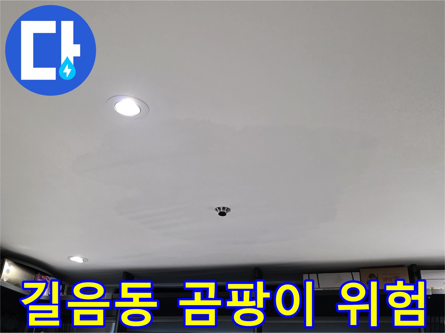 곰팡이 핀 천장 - 건강 위협, 건물 손상
