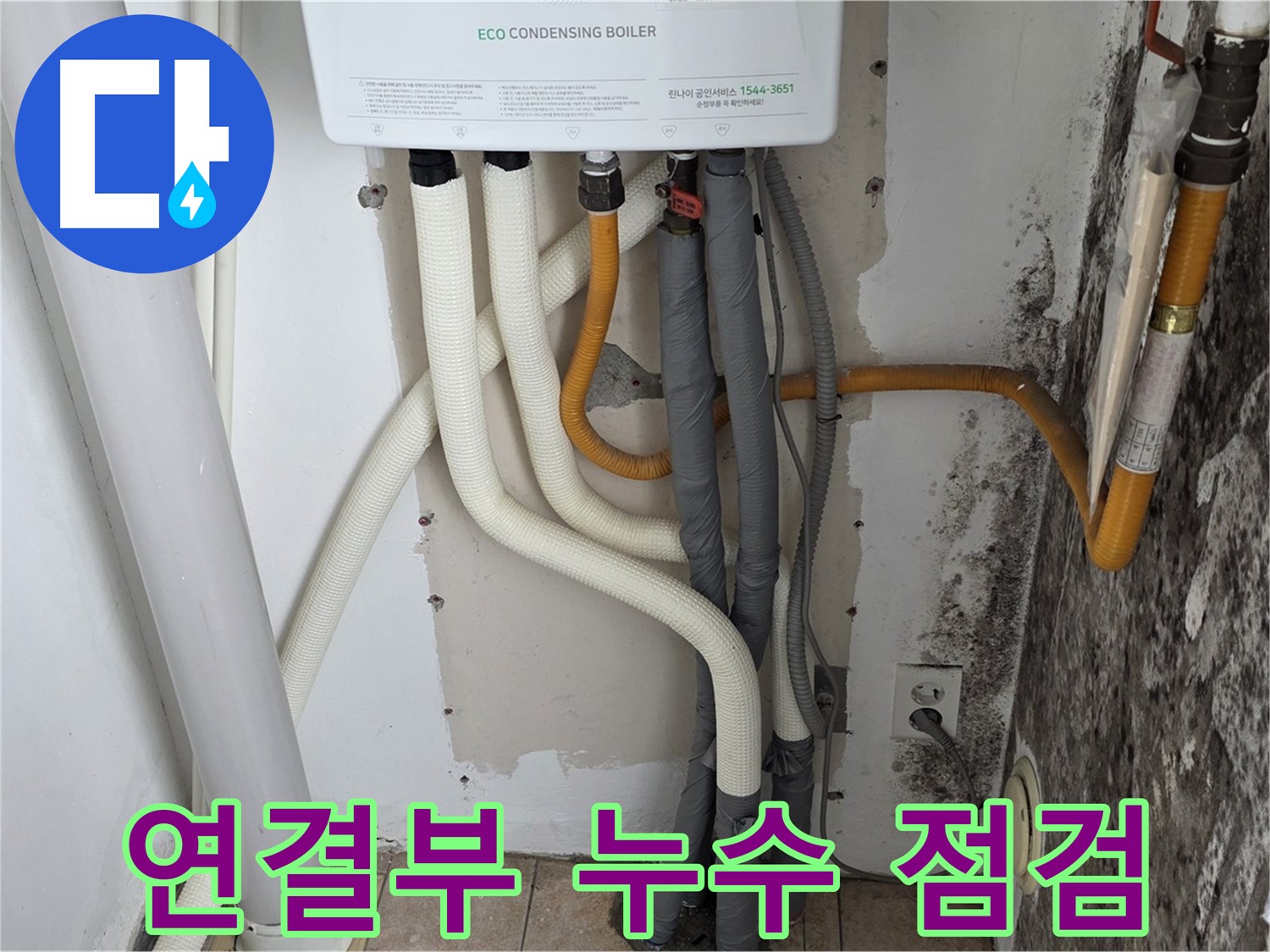 길음1동 아파트 - 곰팡이 핀 벽, 보일러 연결부 누수 긴급 점검 실시