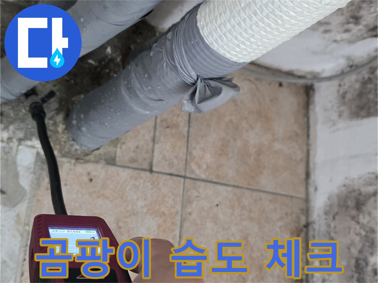 길음동 숭인로 누수 현장에서 곰팡이 핀 벽의 습도를 측정하고 있습니다 - 누수인지, 결로인지, 정확하게 진단해 드립니다.