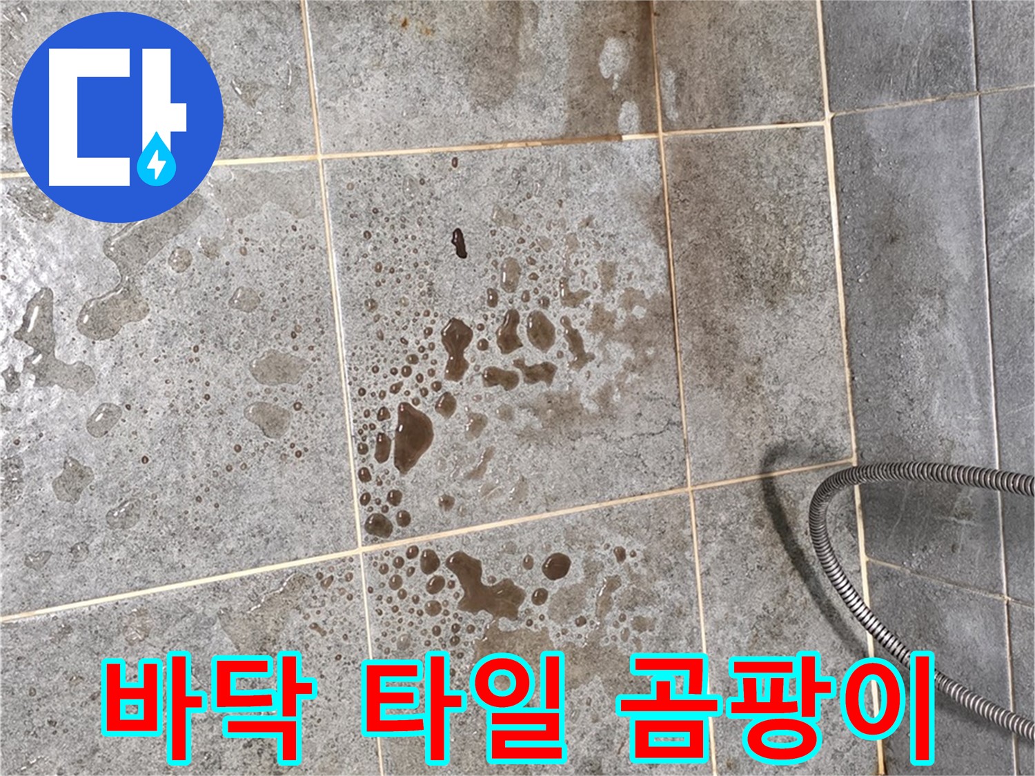 샤워기 아래 타일 누수 - 곰팡이 발생 - 습기