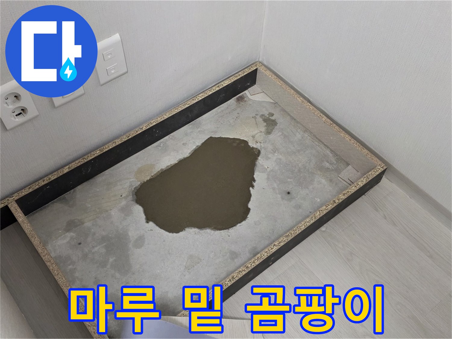 성북구 길음1동 누수 - 마루 밑 곰팡이 심각 - 누수 원인 확실히 분석