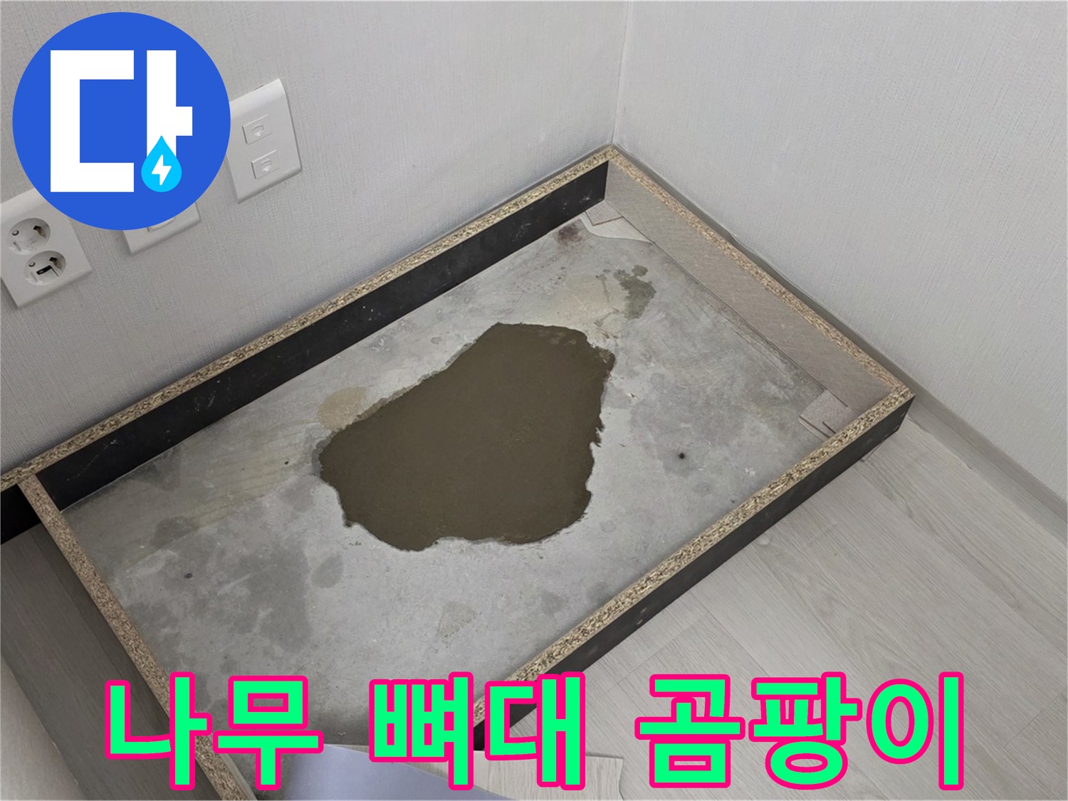 성북구 길음동 누수 - 나무 뼈대 곰팡이 발견 - 누수 원인 철저 분석 및 곰팡이 제거