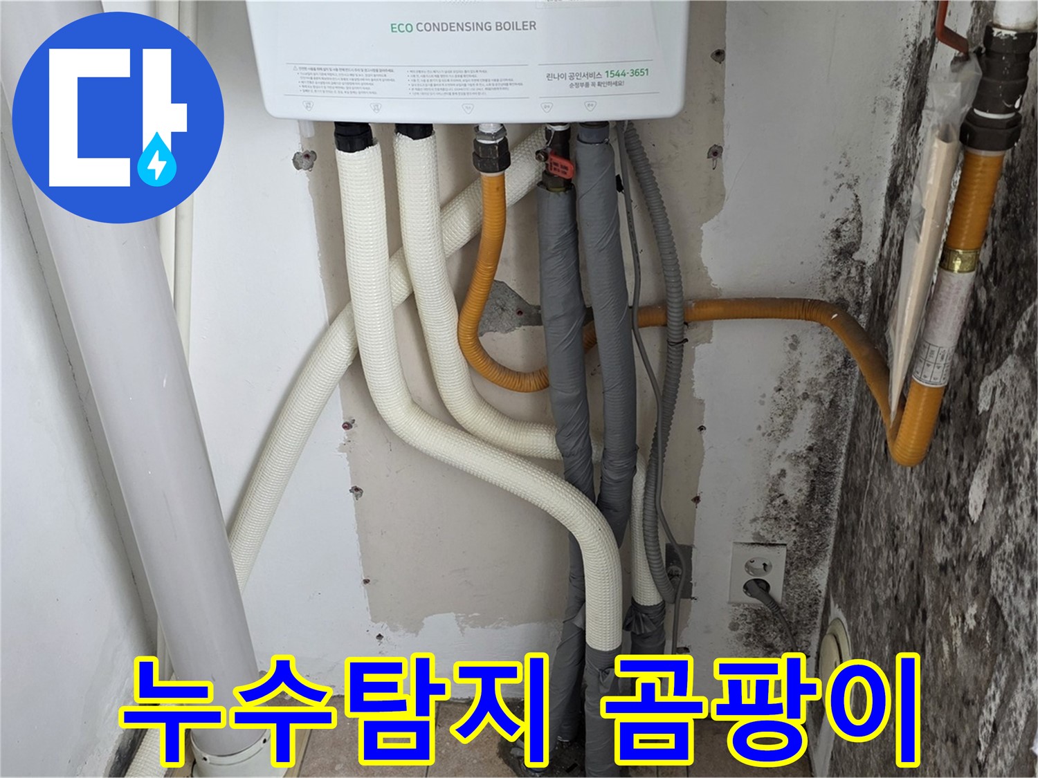 성북구 길음동 아파트 누수탐지 - 보일러 배관 누수와 곰팡이 발생 원인 진단