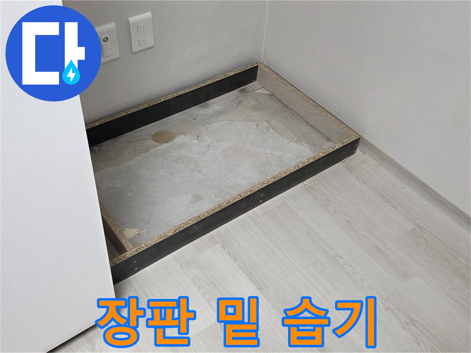 장판 밑 습기 - 곰팡이 온상