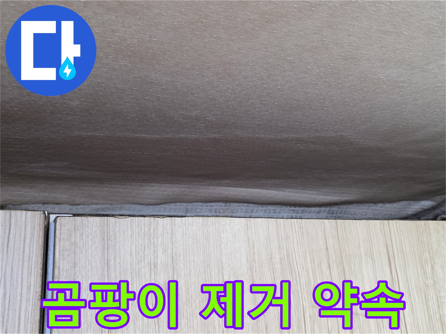 구갈동 누수탐지 - 누수로 인한 곰팡이 완벽 제거 약속
