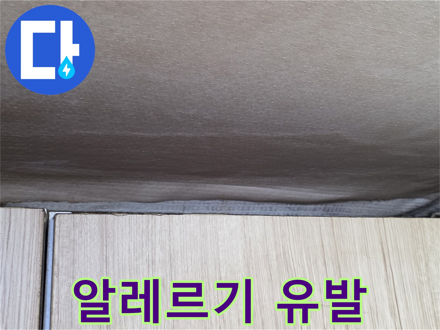 용인 기흥구 203동 누수 - 곰팡이 알레르기 유발 가능성