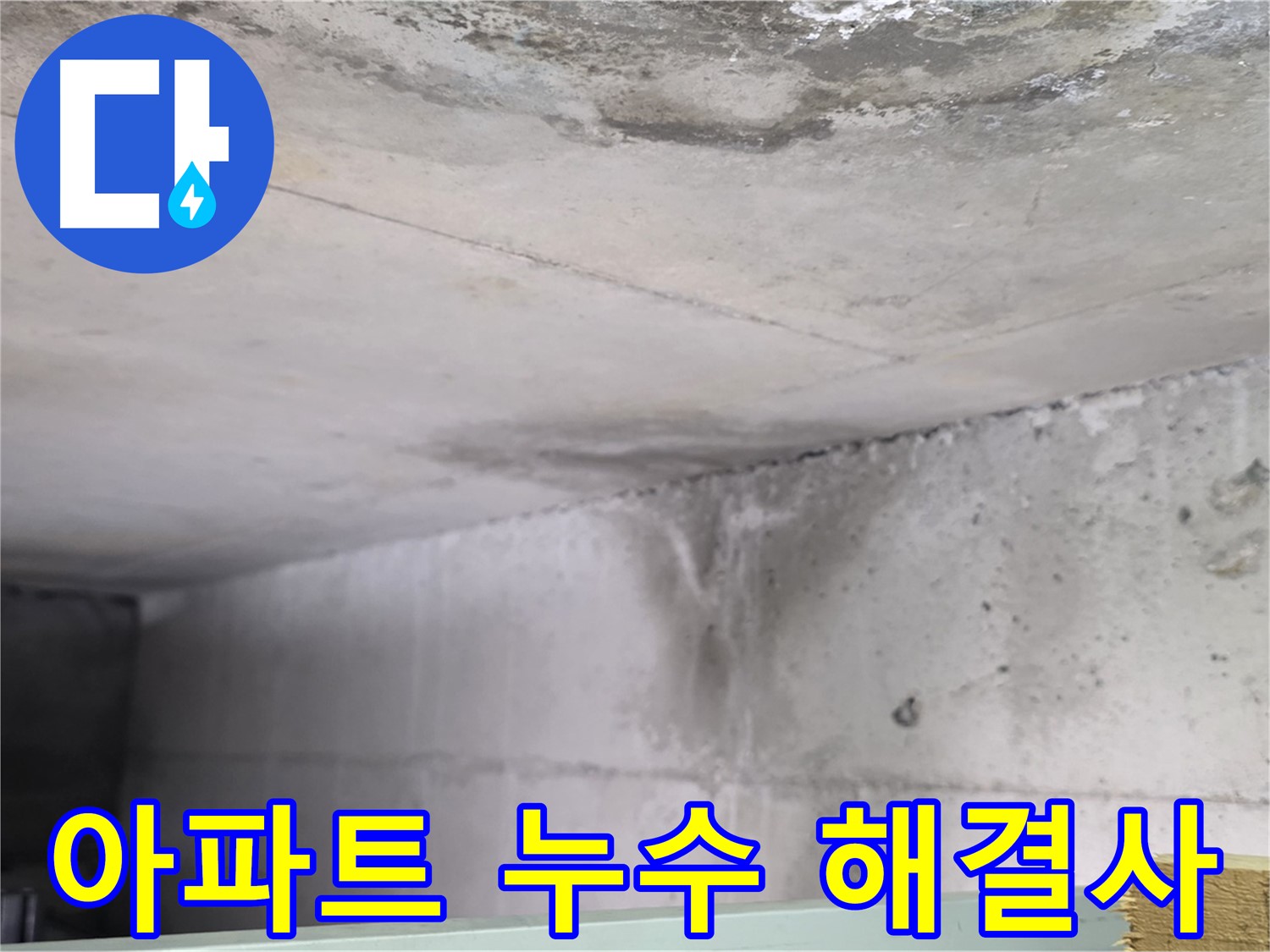 아랫집 천장 누수 자국 - 일산 덕이동 누수, 고객 마음까지 헤아리는 서비스
