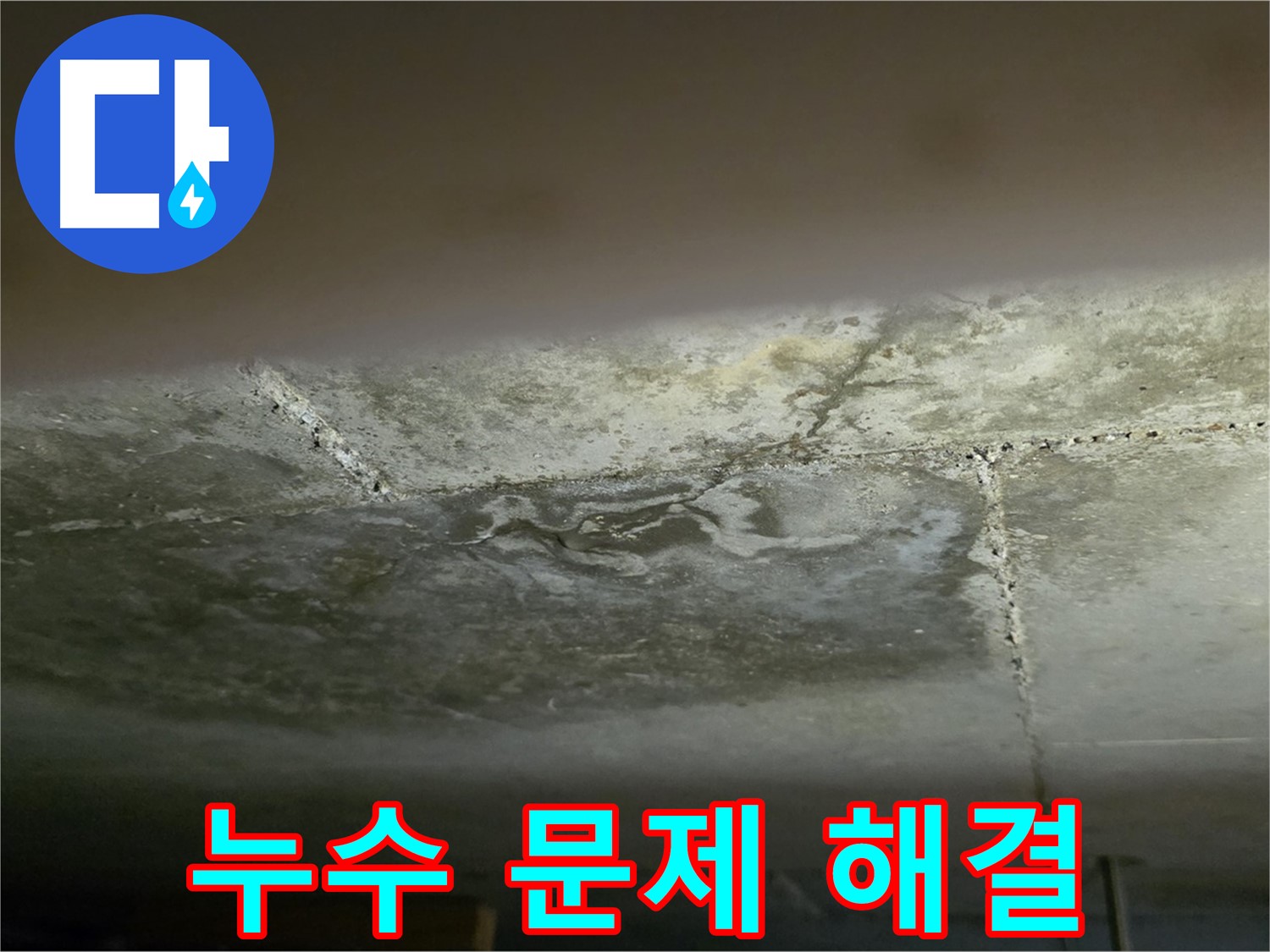 일산서구 하이파크 아파트 누수 문제 해결 - 누수 원인 찾기 전문가