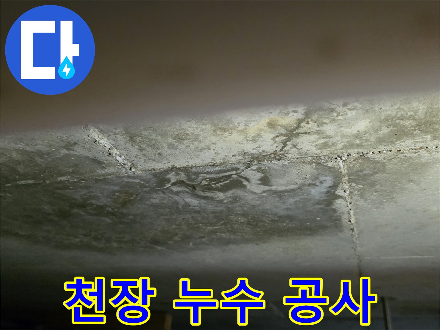 일산서구 하이파크 아파트 천장 누수 - 완벽한 누수 공사로 문제 해결