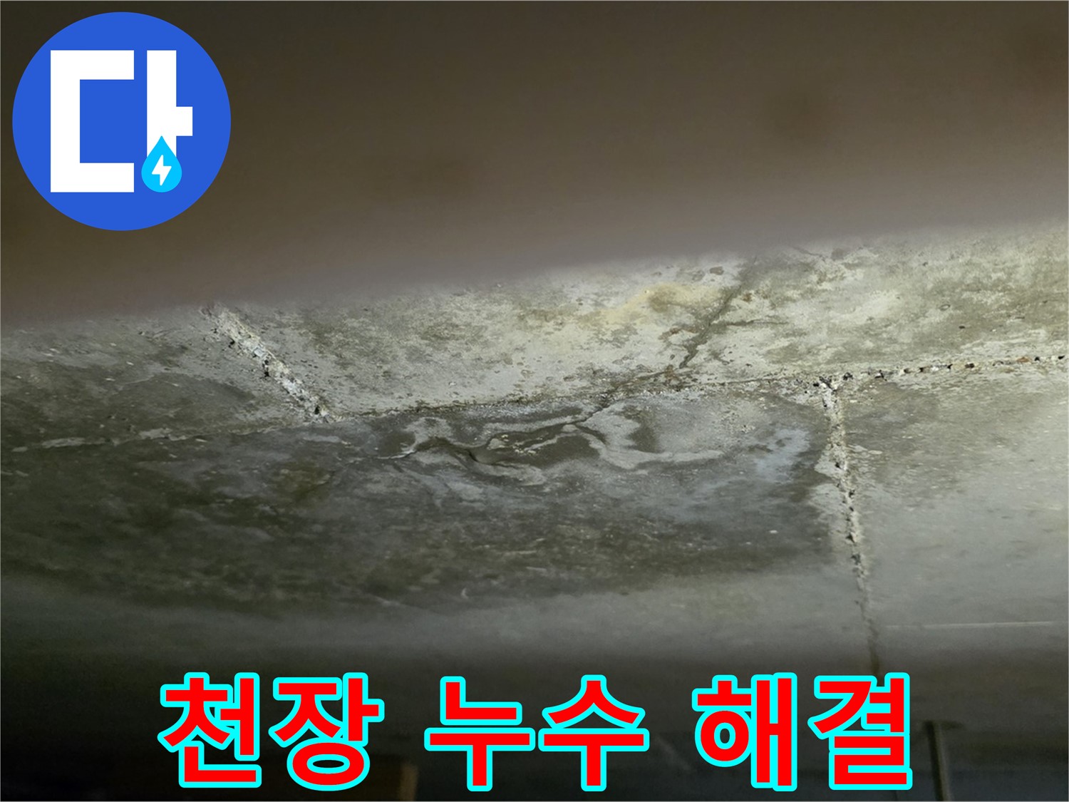 일산서구 하이파크 아파트 천장 누수 해결 - 합리적인 누수 견적 제공