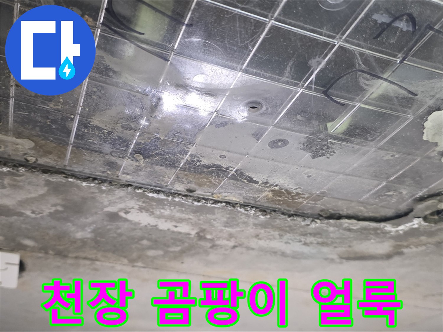 천장 곰팡이 얼룩 - 누수로 인해 천장에 곰팡이가 생긴 얼룩이 보입니다.