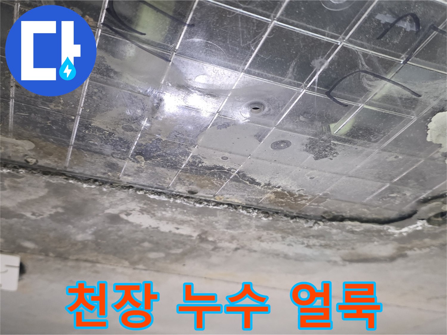 천장 누수 얼룩 - 누수로 인해 천장에 곰팡이가 생긴 얼룩이 보입니다.