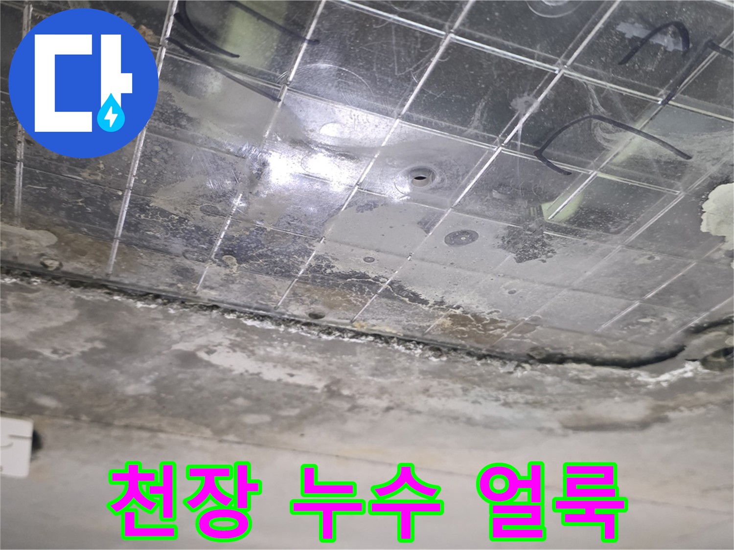 천장 누수 얼룩 - 누수로 인해 천장에 곰팡이가 생긴 얼룩이 보입니다.