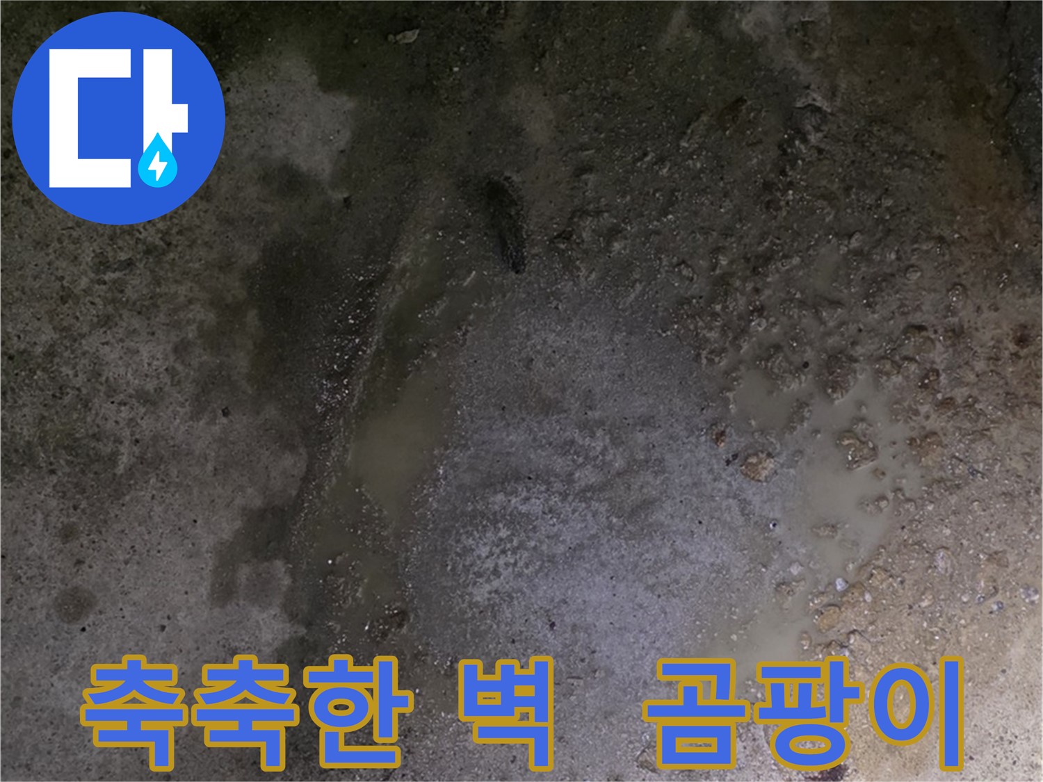 강원특별자치도 철원군 서면 와수리 누수 현장 - 벽면이 축축하고 곰팡이가 피어 누수 초기 증상을 보입니다.