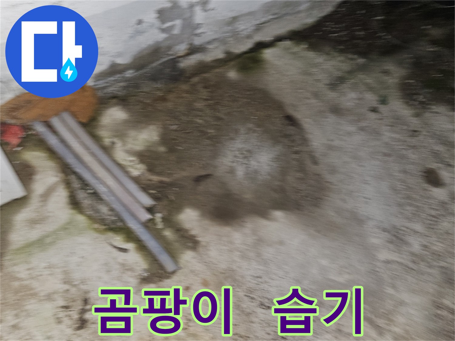 곰팡이 냄새와 습기는 누수의 신호탄입니다.