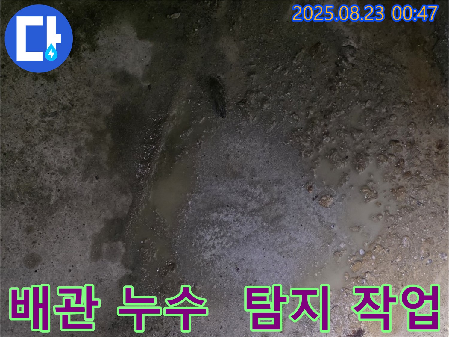 배관 주변의 누수 흔적 - 철원군 서면 와수리 누수 현장에서 누수탐지 전문가가 정밀 탐지를 진행하고 있습니다.