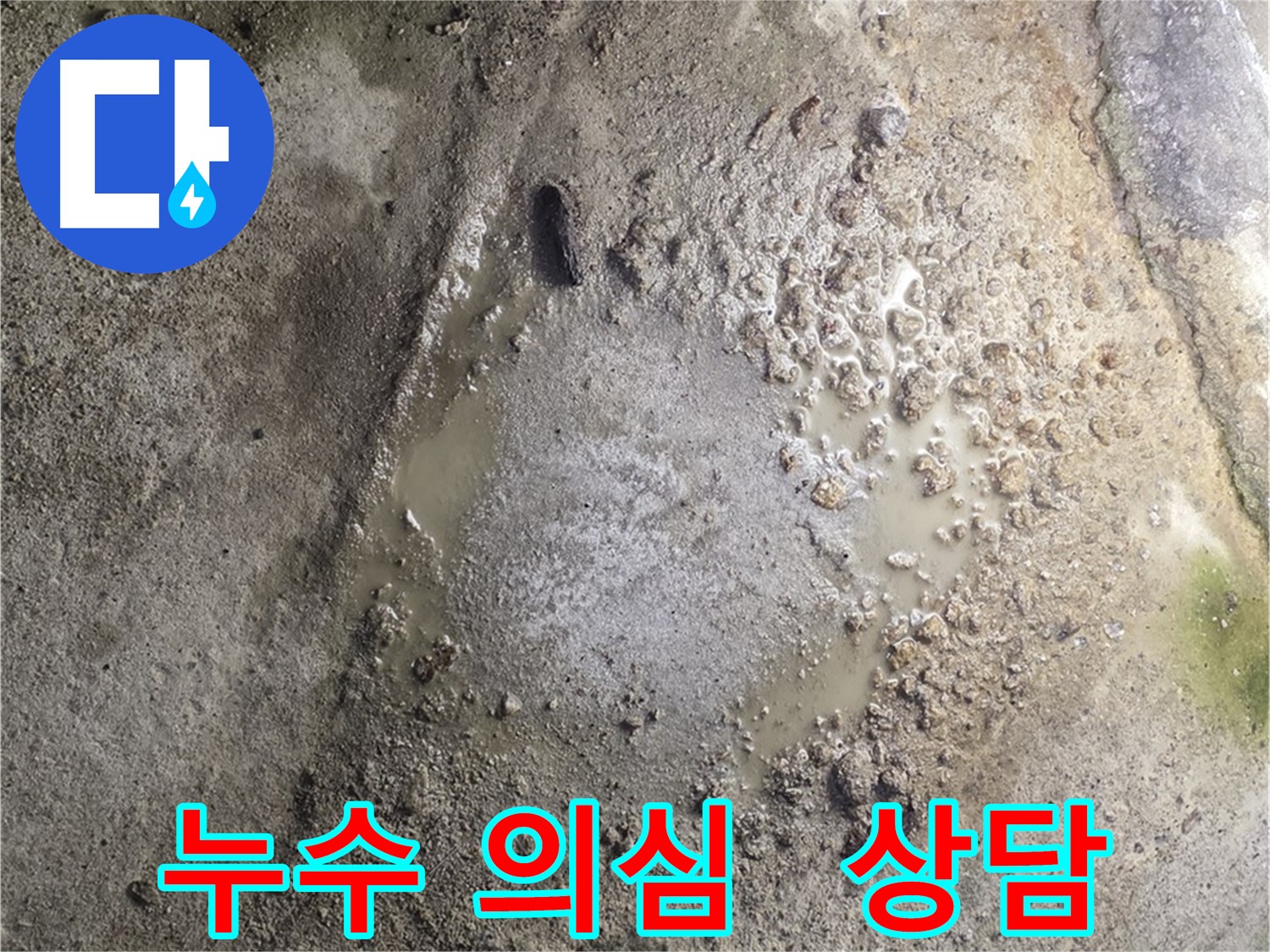 철원군 서면 와수리 누수 현장 - 누수가 의심될 경우 지금 바로 상담을 통해 문제를 해결하세요.