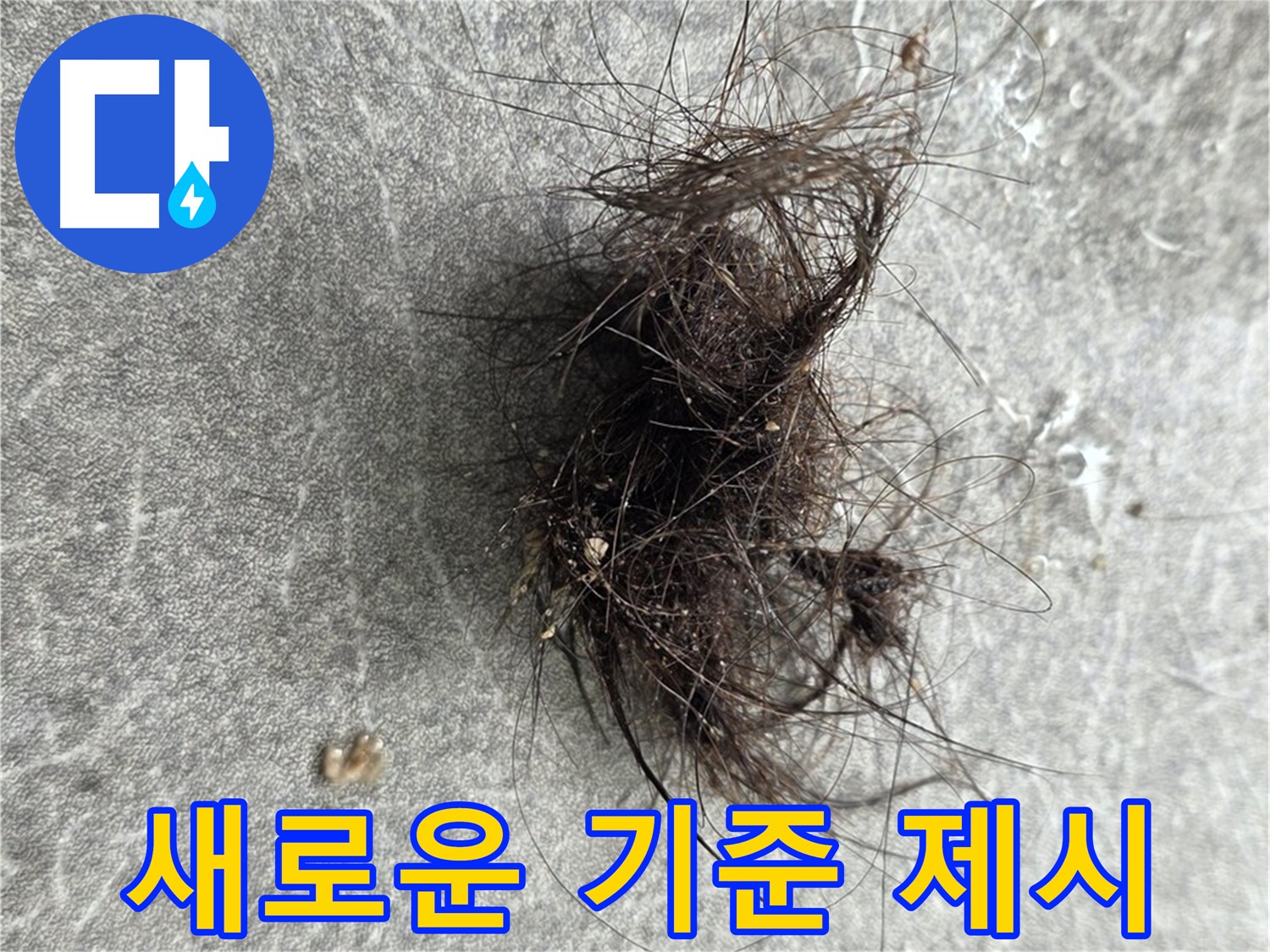 누수 탐지의 새로운 기준 제시 - 정확하고 신뢰할 수 있는 누수 탐지 서비스를 제공합니다.