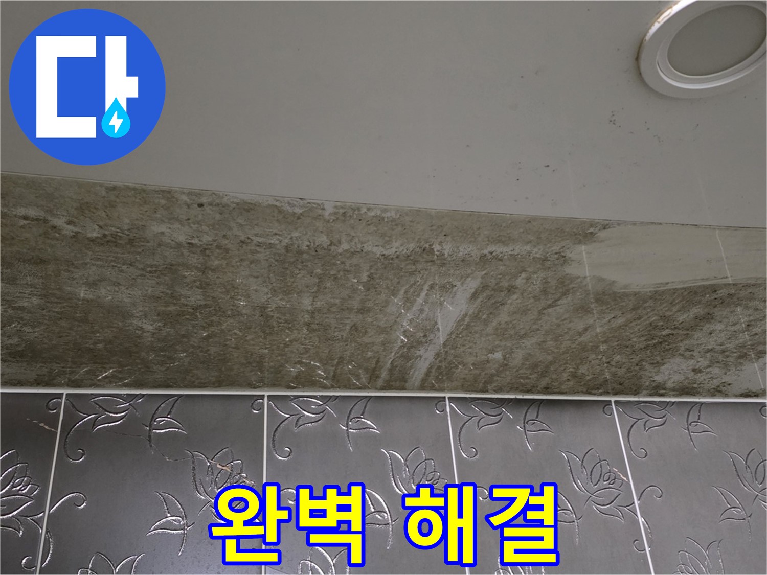 곰팡이 뒤덮인 화장실 천장 - 완벽 해결, 쾌적하게 변신
