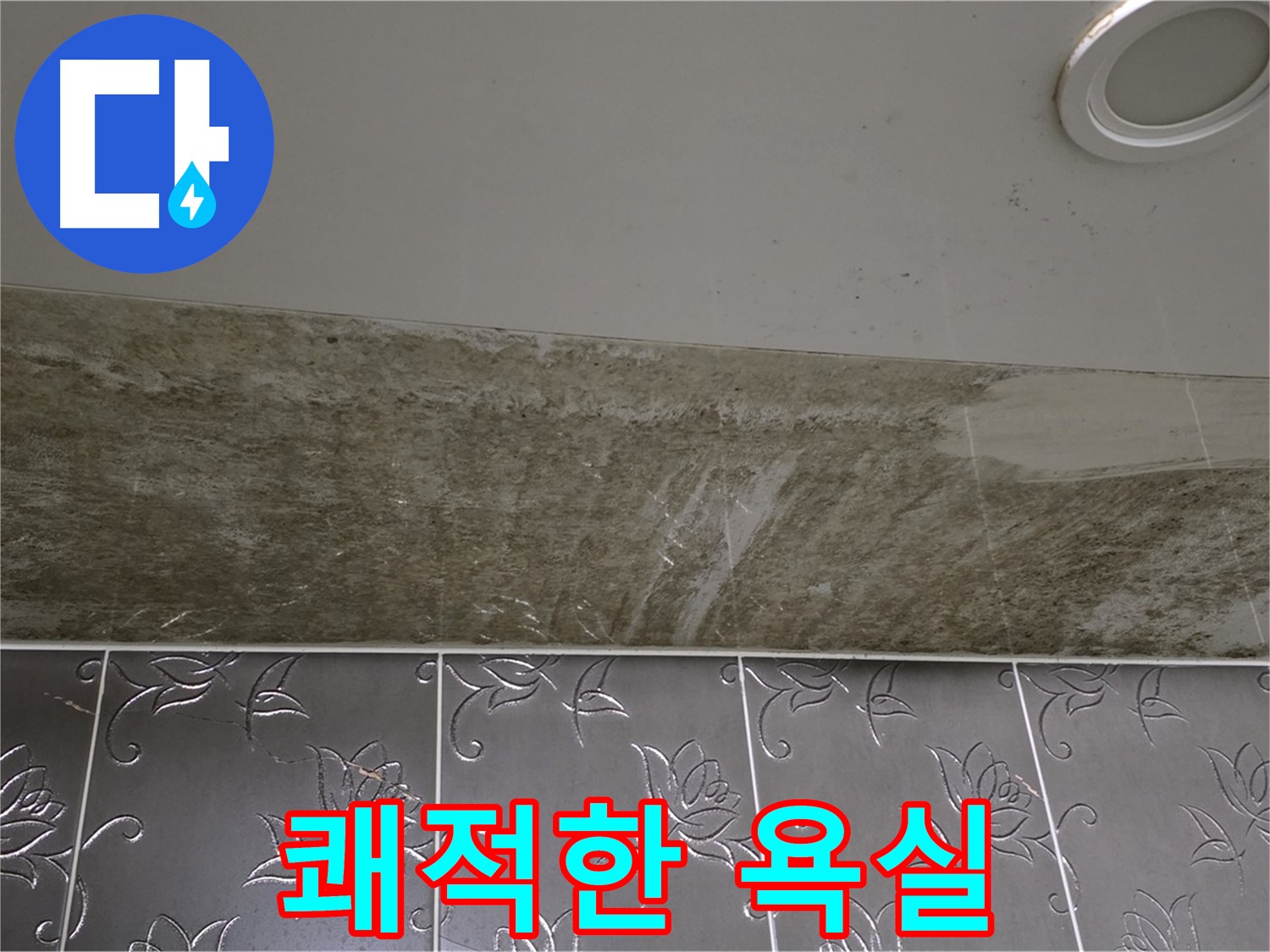 곰팡이 심각한 욕실 - 누수 해결, 곰팡이 OUT! 쾌적한 욕실을 되찾아 드립니다!
