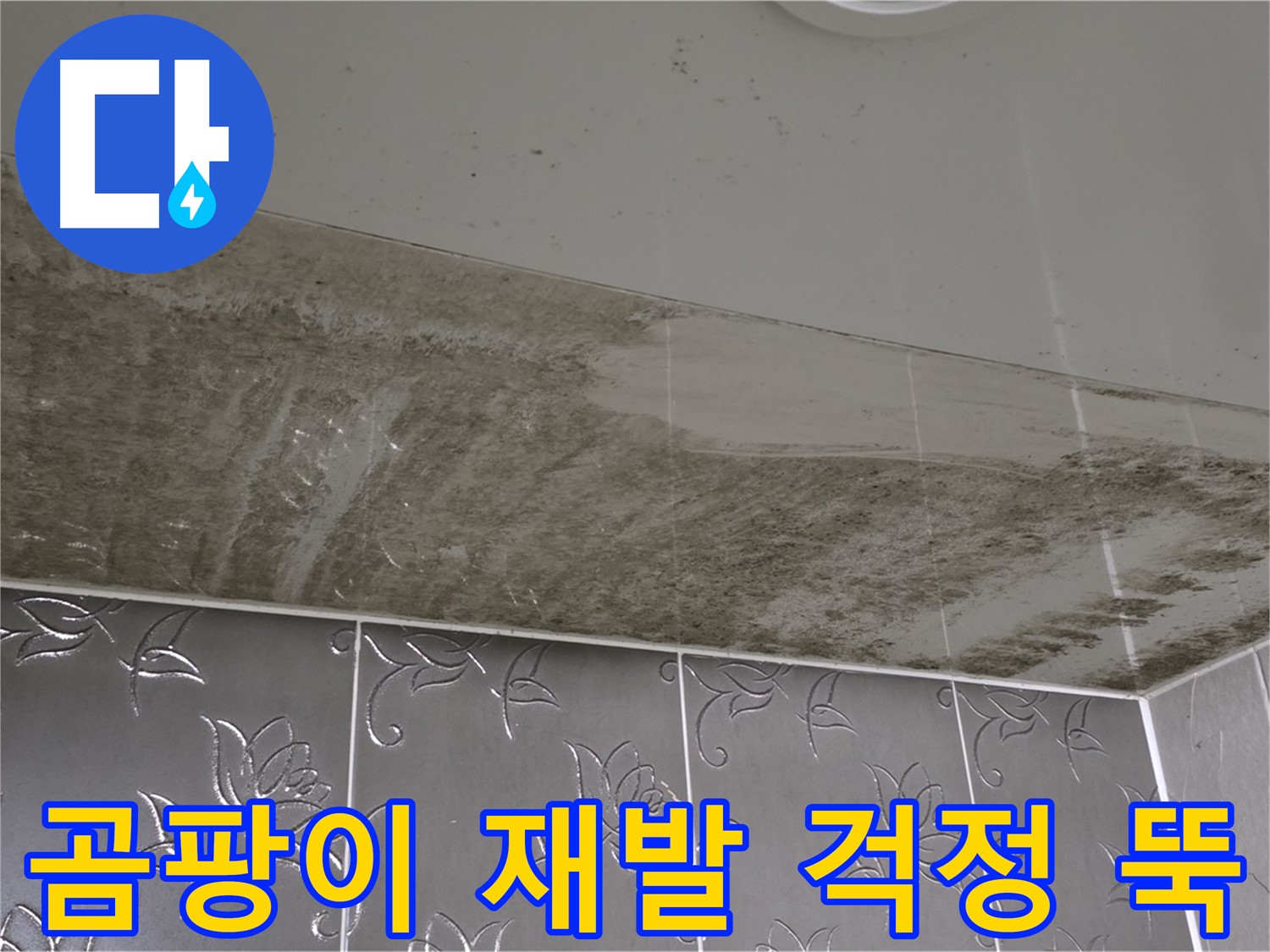곰팡이 욕실 - 재발 걱정 없이 완벽하게 해결된 모습, 비법 공개!
