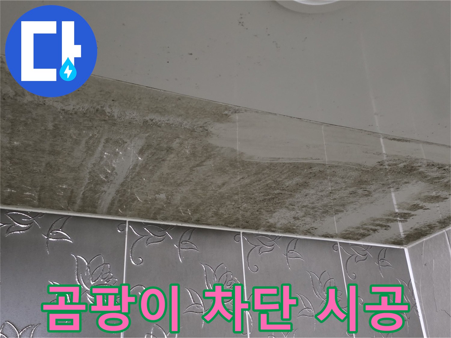 곰팡이 천장 - 누수 원인 해결 후 완벽하게 차단하는 믿을 수 있는 시공!