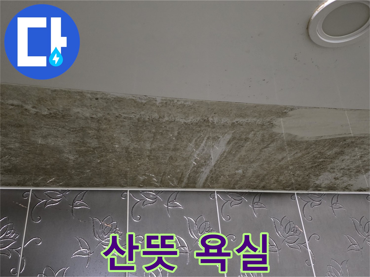곰팡이 핀 욕실 - 곰팡이 싹 OUT, 산뜻한 욕실! 확실하게 책임지고 바꿔드릴게요!
