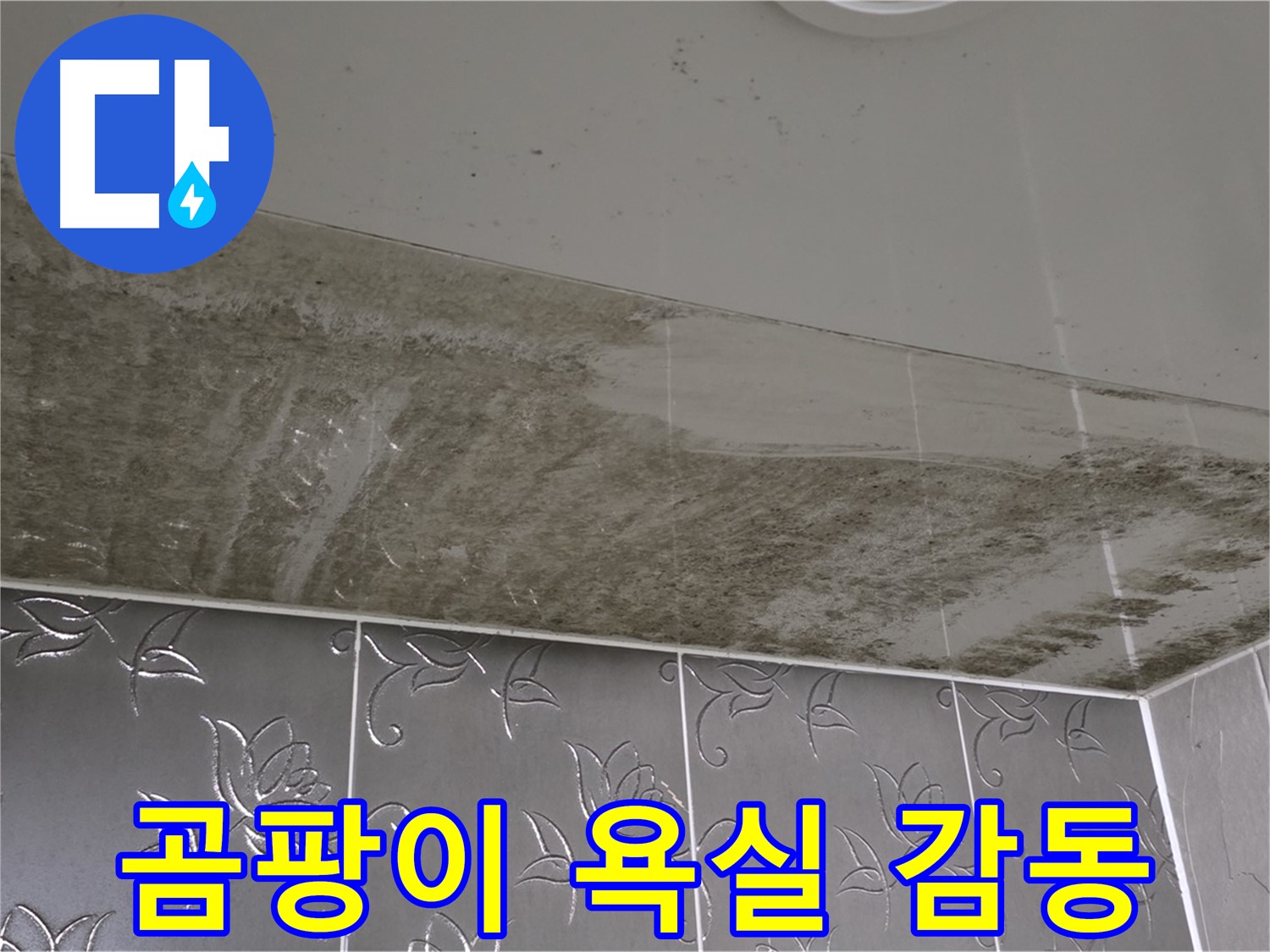 곰팡이로 고통받던 욕실 천장 - 누수 원인 해결 후 완벽하게 깨끗해진 모습, 감동 스토리!
