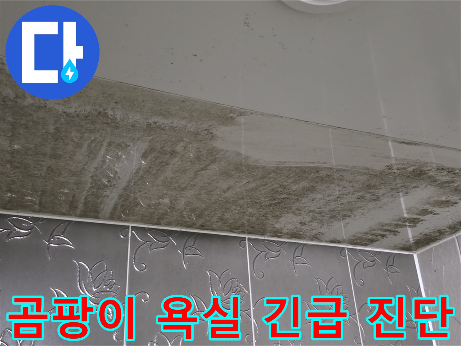 곰팡이로 뒤덮인 욕실 천장 - 긴급 누수 진단으로 문제 해결 시작!