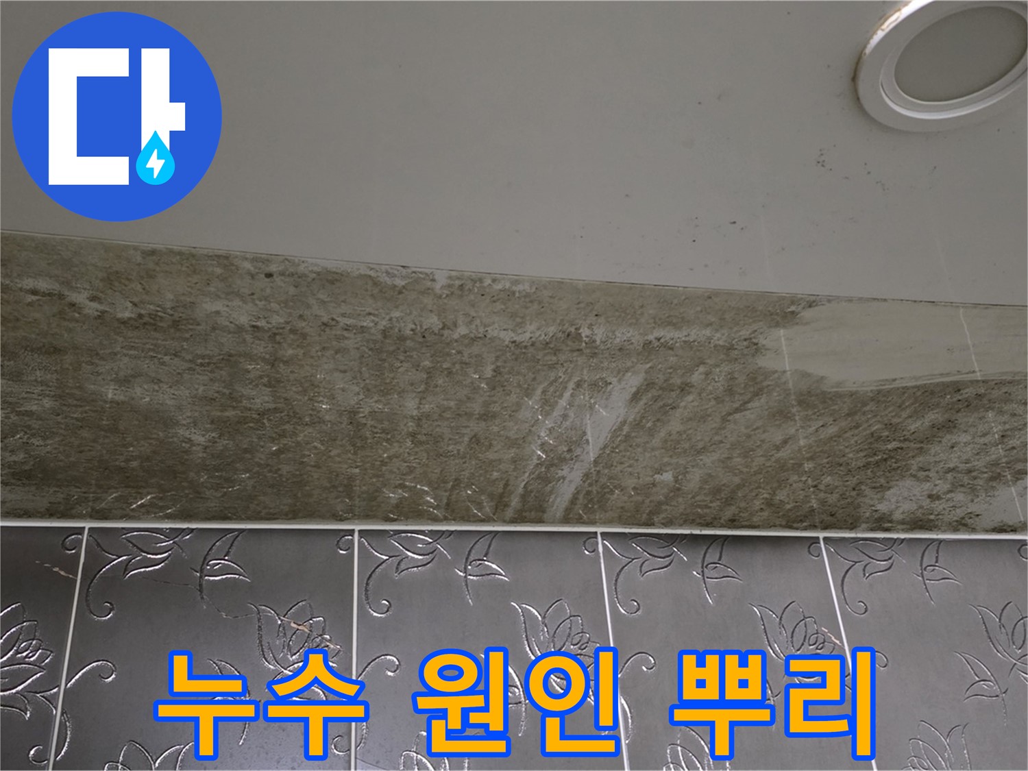곰팡이 핀 화장실 천장 - 누수 원인 뿌리 뽑기 작전