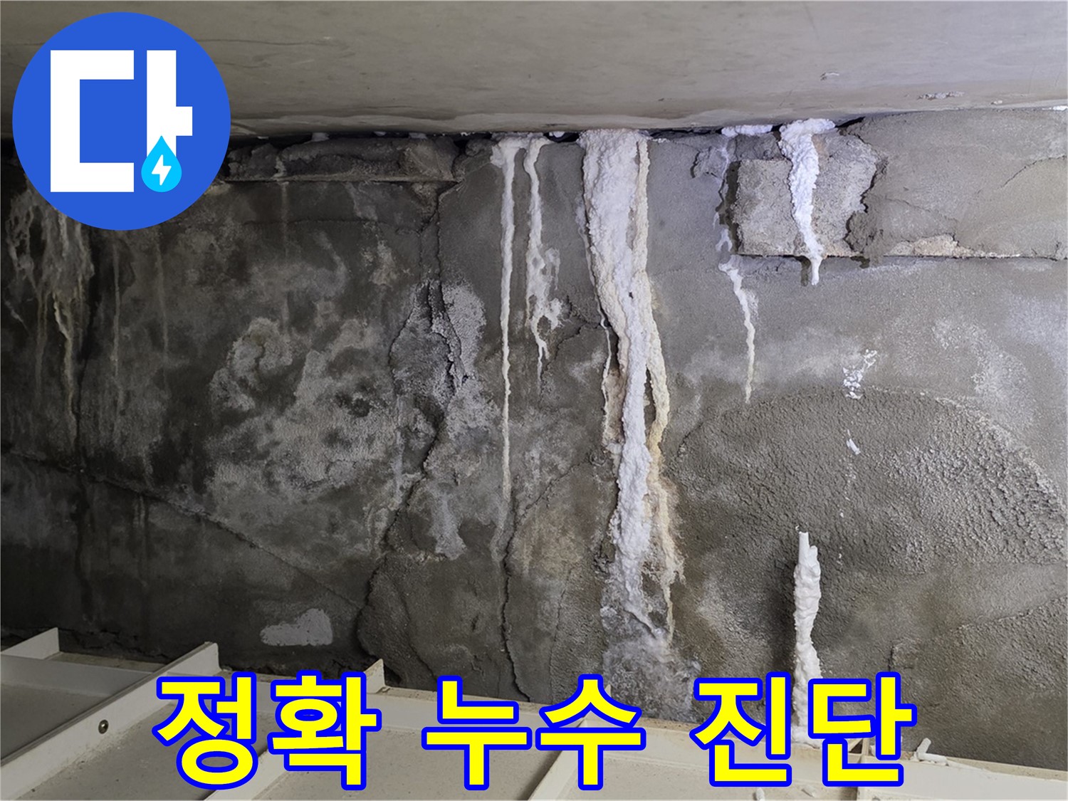 분당 운중동 건물 누수 - 주차장 누수 - 정확한 진단 약속