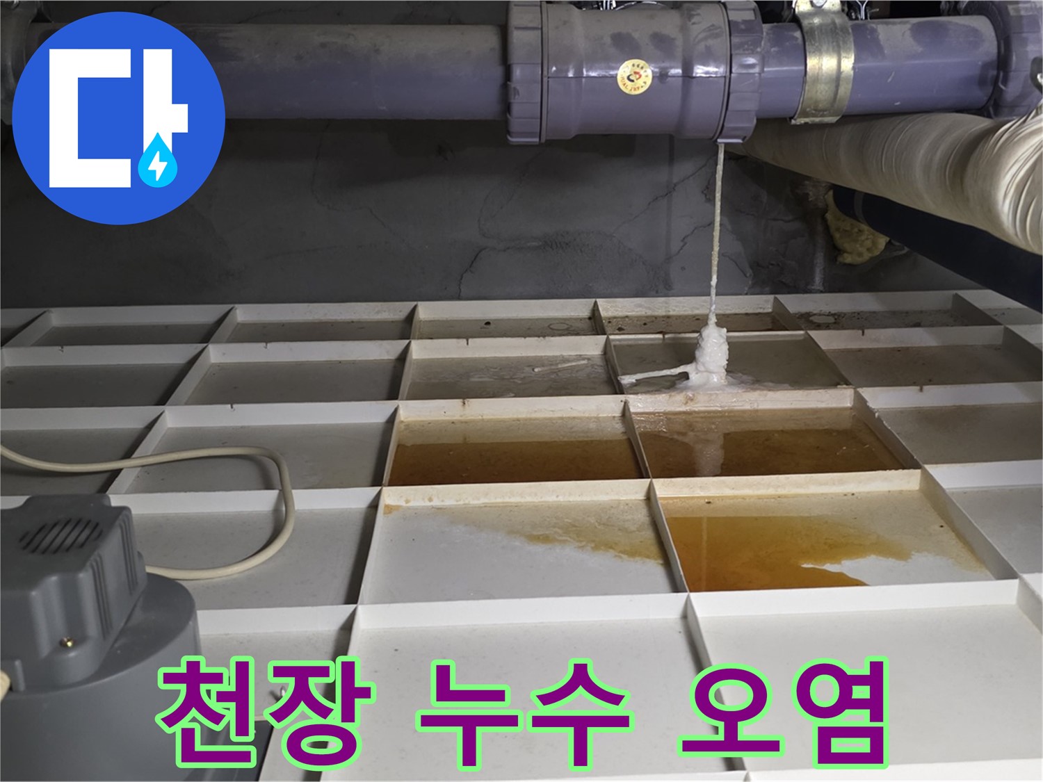 분당 운중동 산운마을 6단지 천장 누수로 인한 오염수 고임 현장 - 심각한 오염 상태를 보여줍니다.
