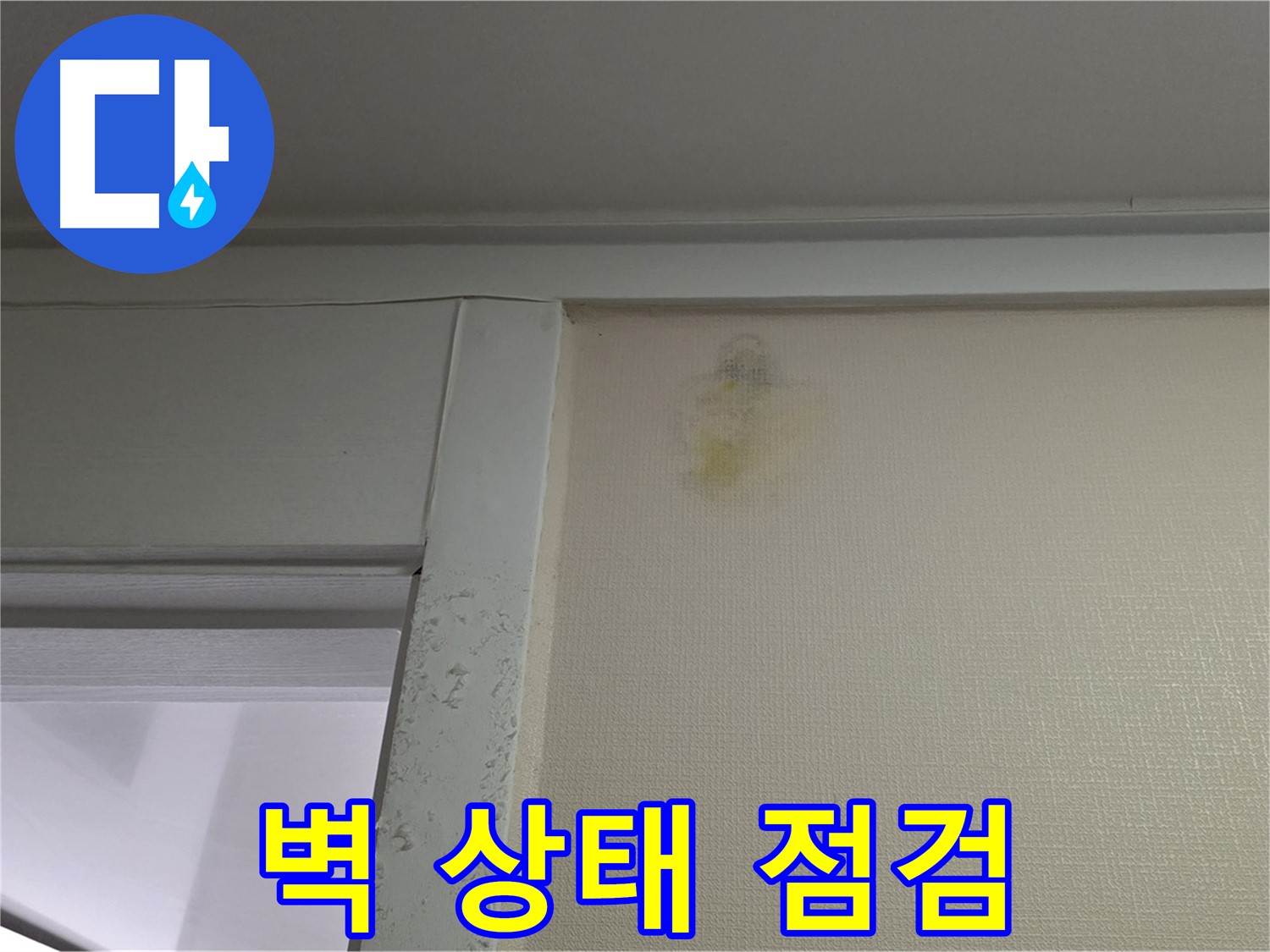 분당 운중동 산운마을 아파트 - 벽 상태 점검 및 초기 누수 진단