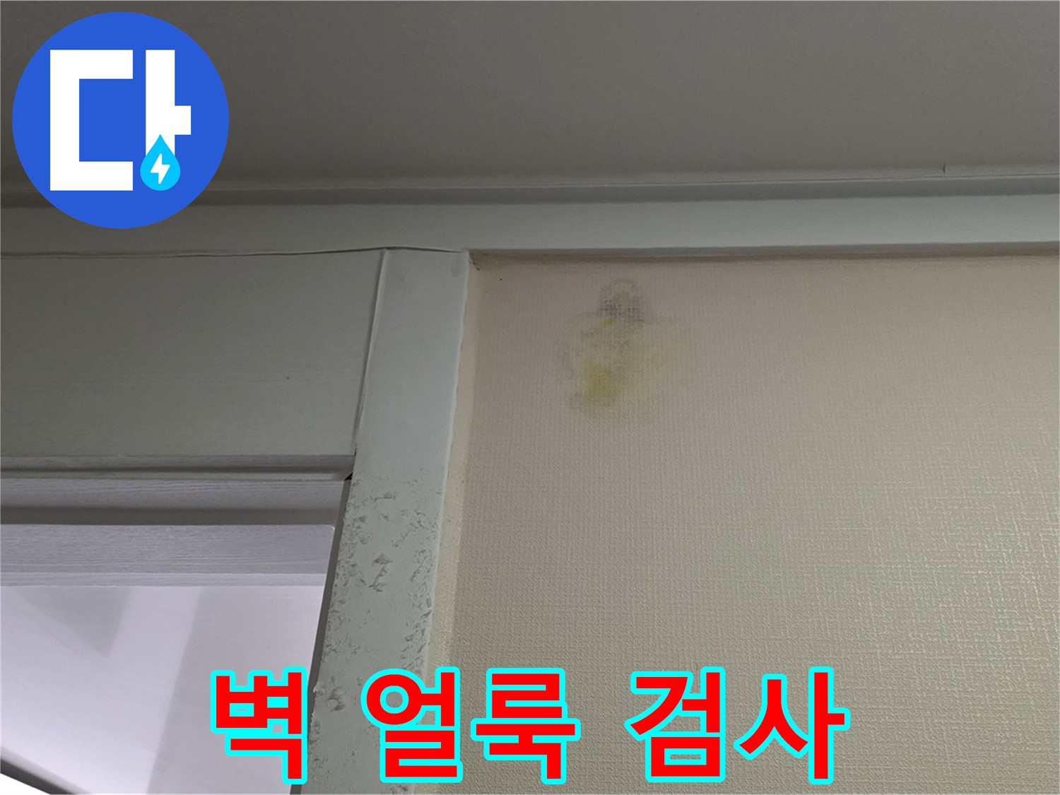 분당 운중동 산운마을 아파트 - 벽 얼룩 초기 누수 의심, 가스식 탐지