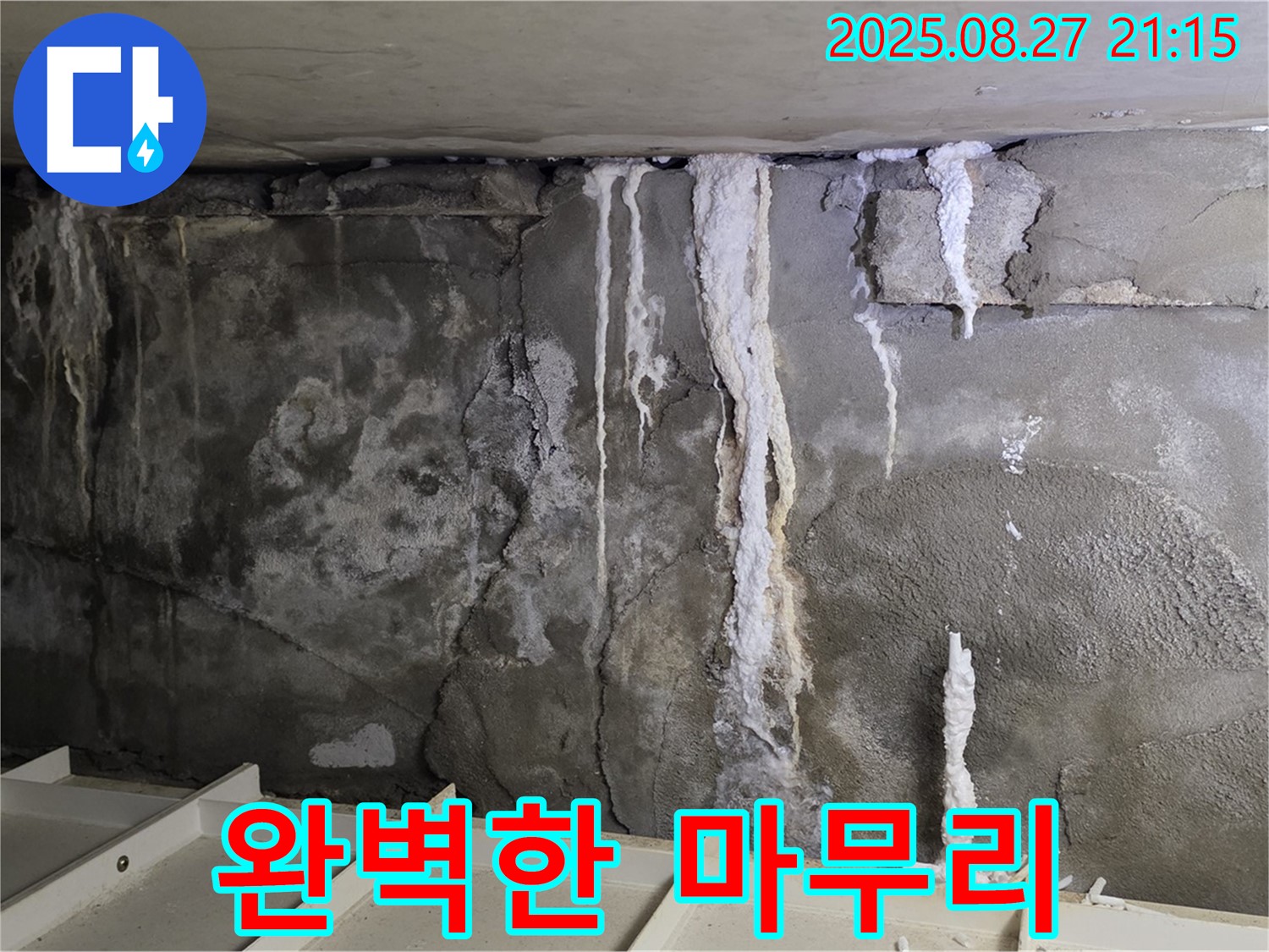 분당 운중동 산운마을6단지 콘크리트 누수 - 완벽한 마무리, 고객 만족 최우선