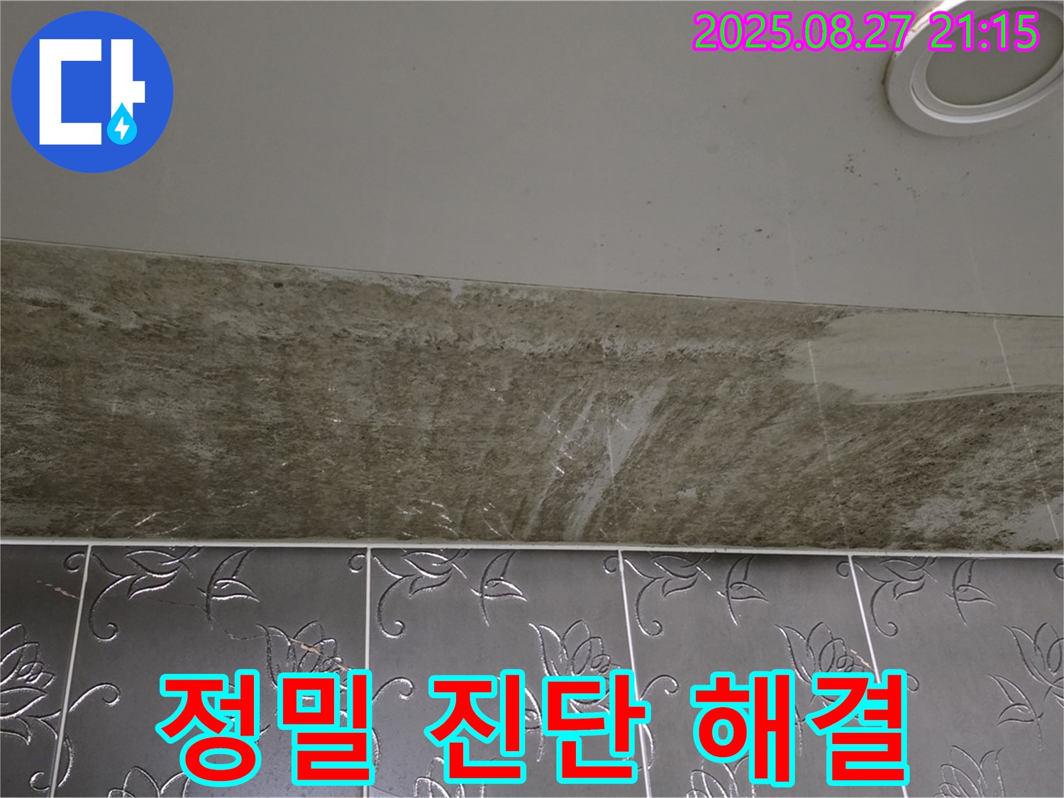 분당구 운중동 산운마을 아파트 - 곰팡이 핀 천장 누수, 정밀 진단으로 문제를 해결합니다.