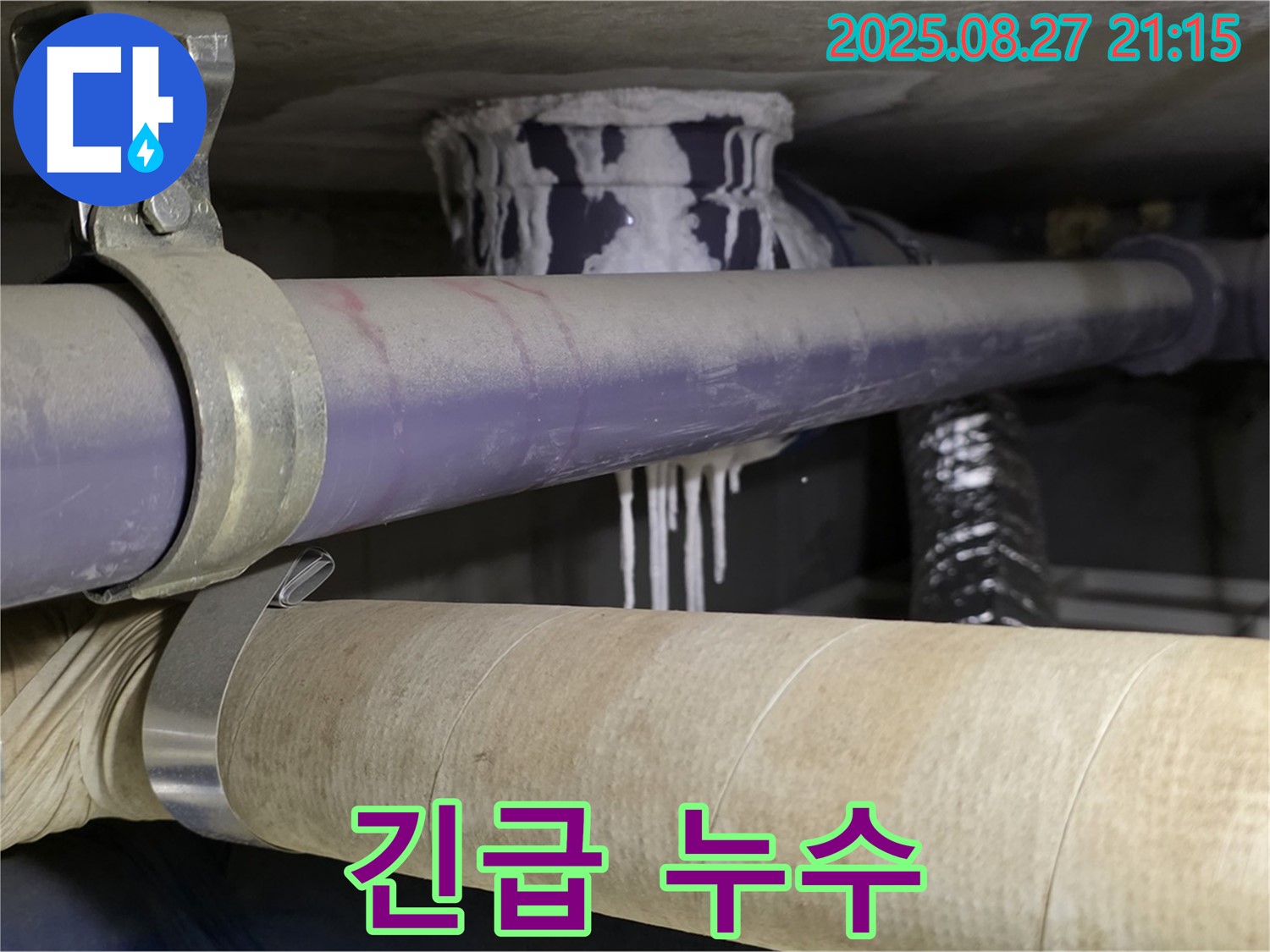 성남 분당 산운마을 6단지 아파트 - 긴급 누수 발생 현장