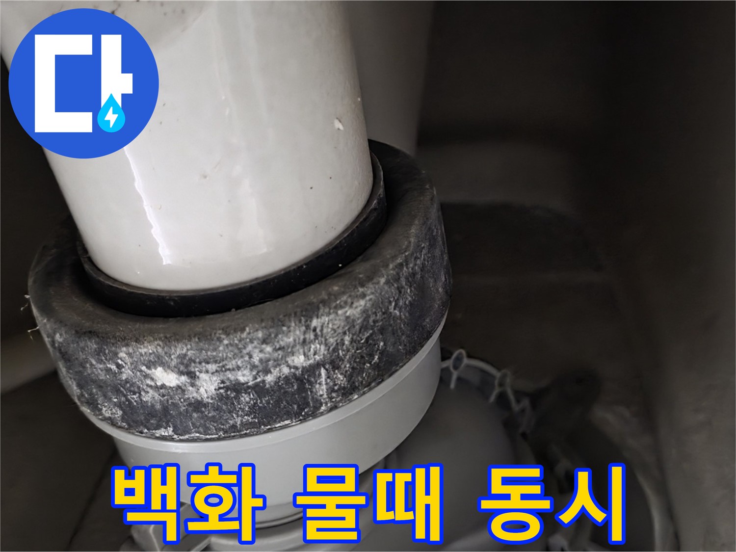 성남 분당 운중동 산운로 변기 누수 - 백화와 물때가 동시에 발생한 모습