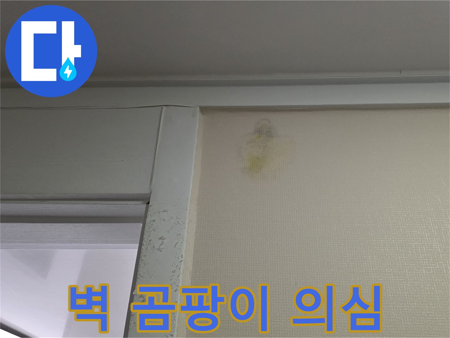 성남 분당 운중동 산운마을 아파트 벽 주변 곰팡이 - 누수 초기 의심 및 진단