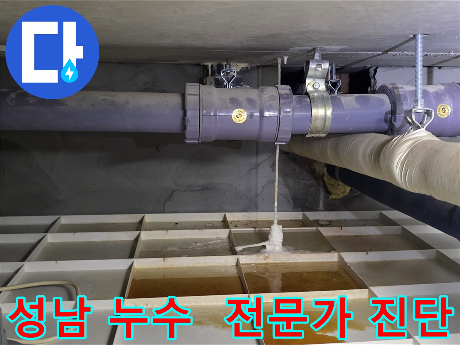 성남 산운마을 배관 누수 - 연결 부위 문제, 전문가의 정확한 진단