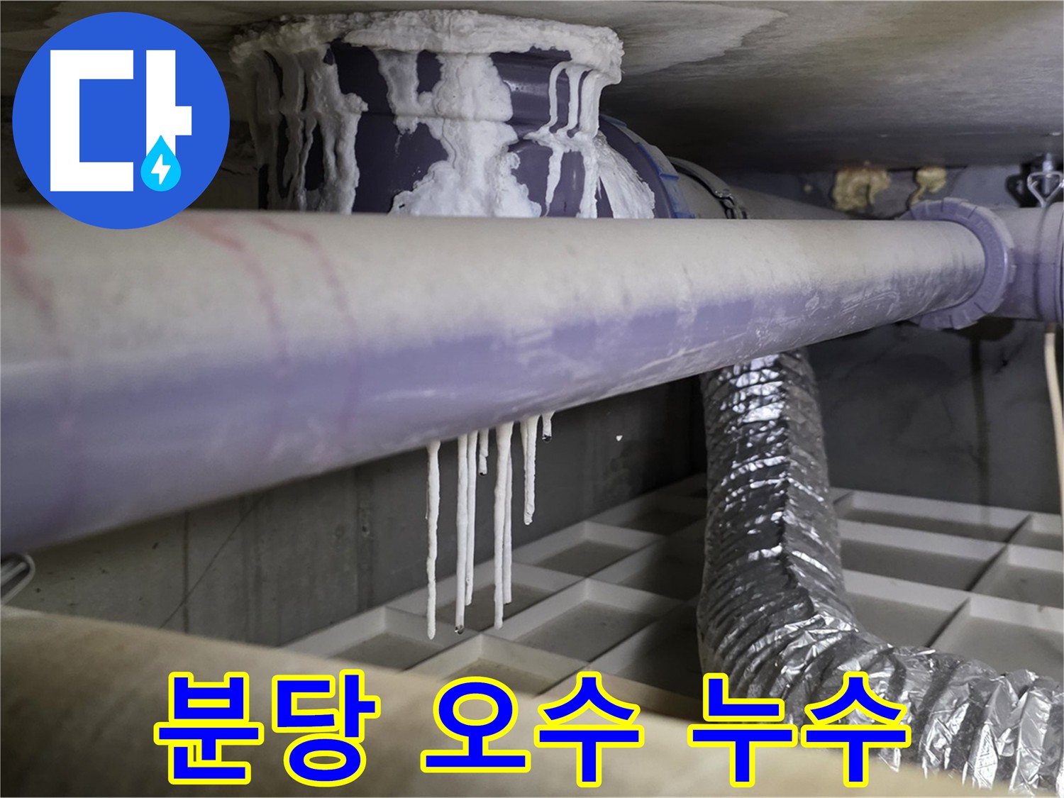 오수 배관 누수 - 깨진 방수층과 석회 고드름