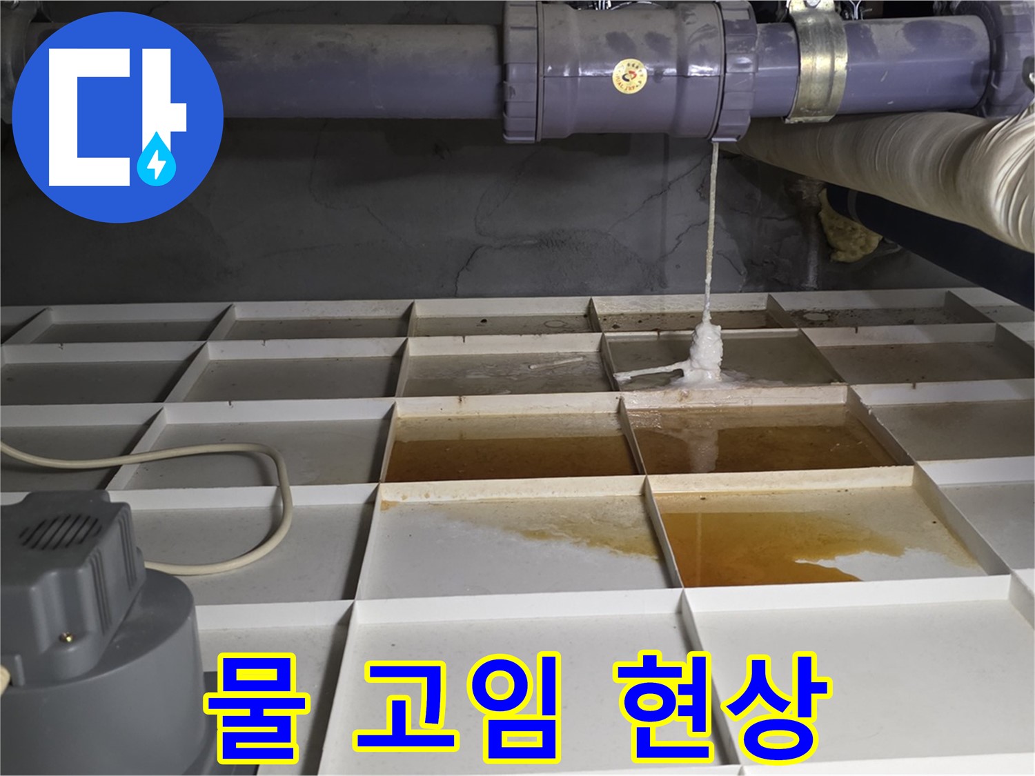 성남시 분당구 운중동 산운로 121 누수 발생 위치 주변 물 고임 현상 - 물이 흥건합니다.