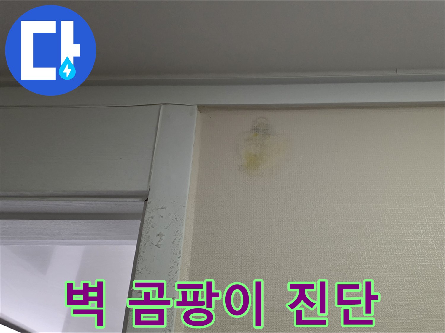 성남시 분당구 운중동 산운마을 아파트 - 벽 곰팡이 누수 초기 의심