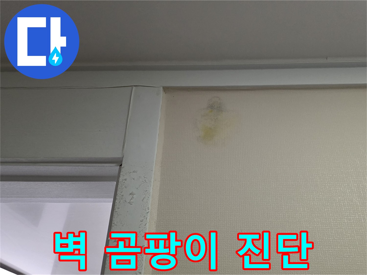 성남시 분당구 운중동 산운마을 아파트 - 벽 곰팡이 초기 누수 의심