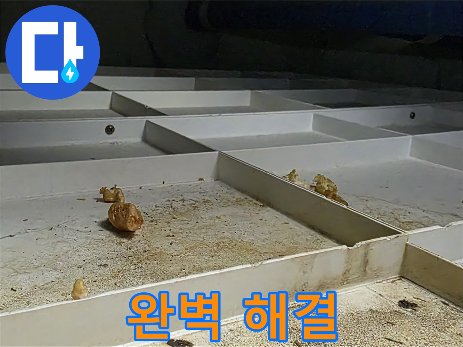 완벽 해결 - 누수 해결 과정 및 완벽한 결과