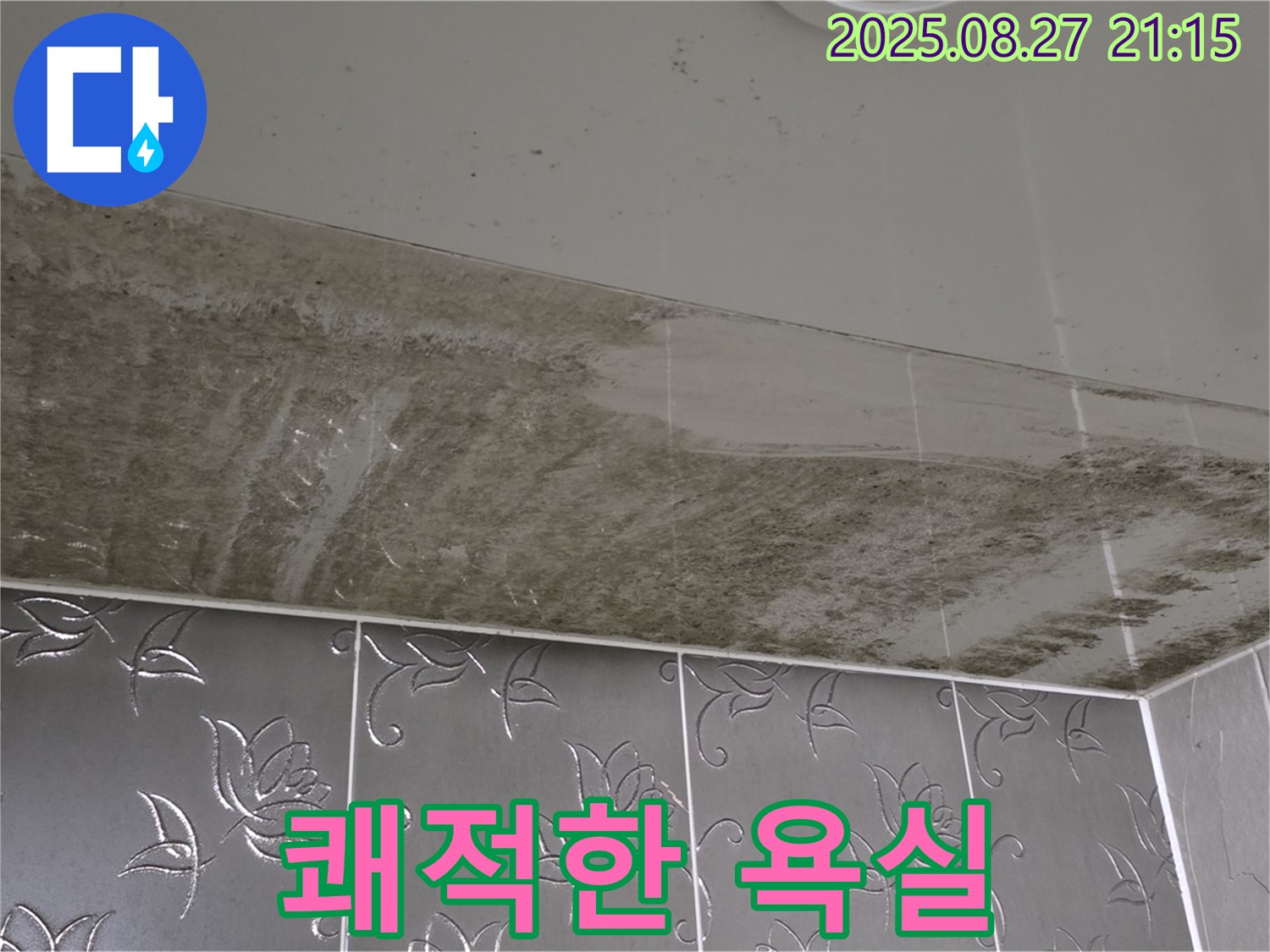 욕실 곰팡이 - 누수탐지 전문 기술로 곰팡이를 완벽하게 제거하고 쾌적한 욕실을 만드는 모습을 보여주는 이미지입니다.