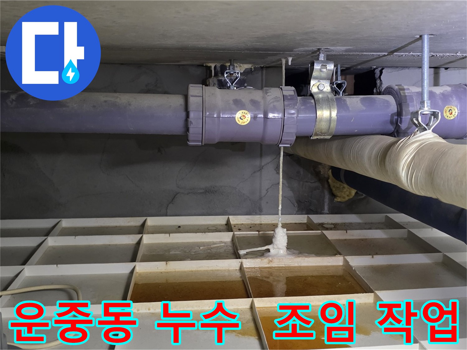 운중동 PVC 배관 누수 - 연결 헐거움, 간단한 조임 작업으로 빠른 해결