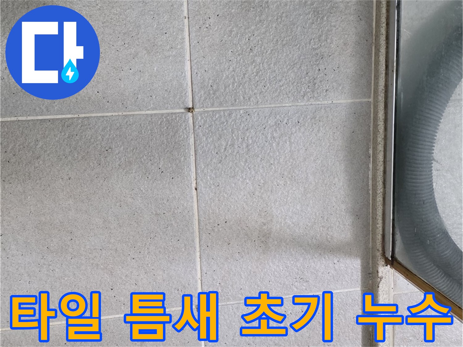 운중동 욕실 바닥 타일 틈새 - 누수 초기 증상으로 틈새에 습기가 차거나 곰팡이가 생길 수 있습니다.