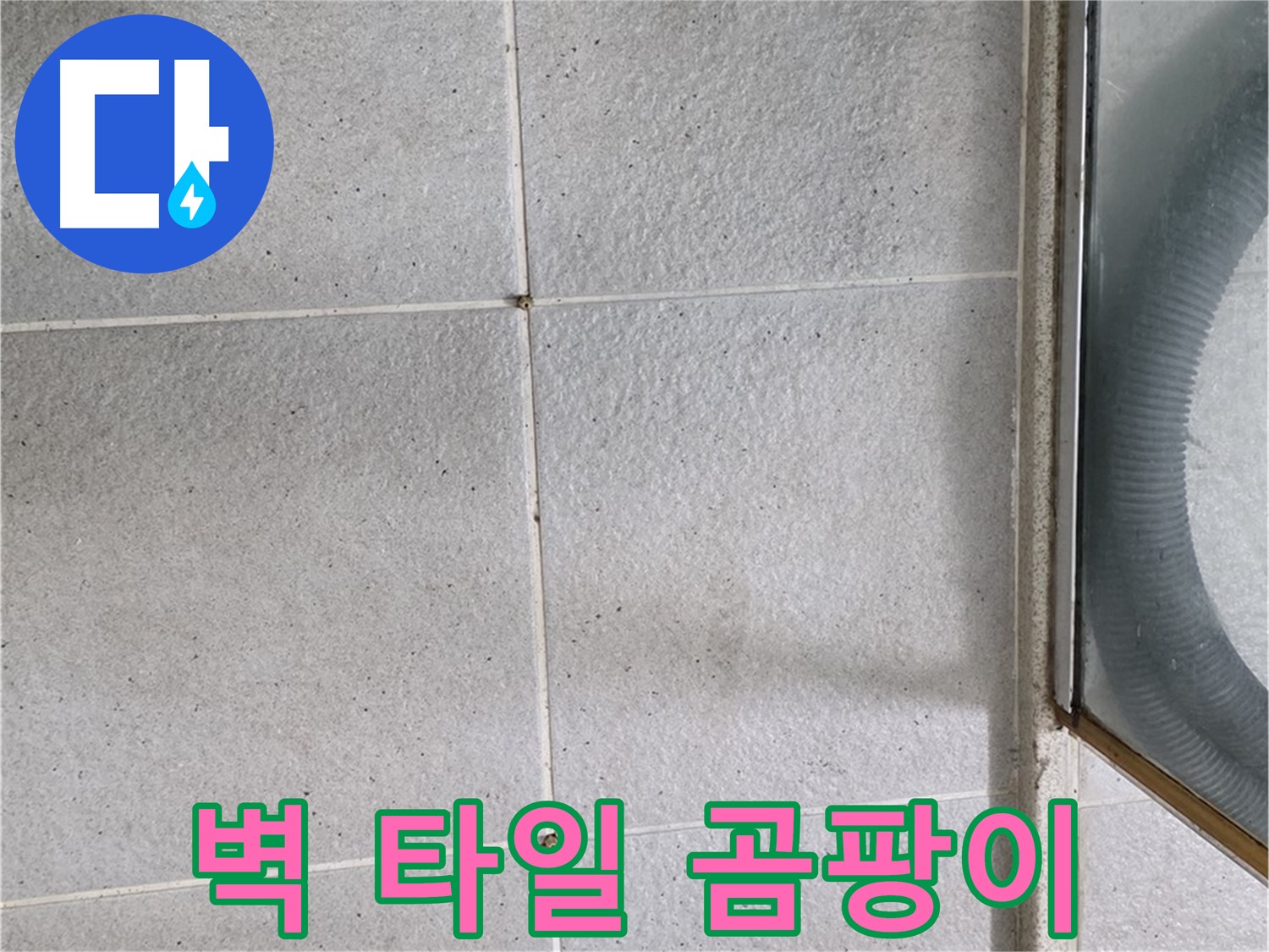 운중동 욕실 샤워기 벽면 - 타일 틈새 오염과 곰팡이는 습기 침투의 증거입니다.