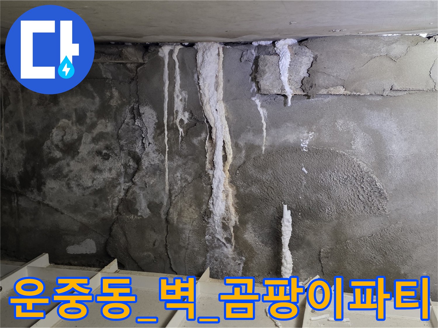운중동 콘크리트 벽 - 하얀 이슬, 곰팡이 파티 초대장